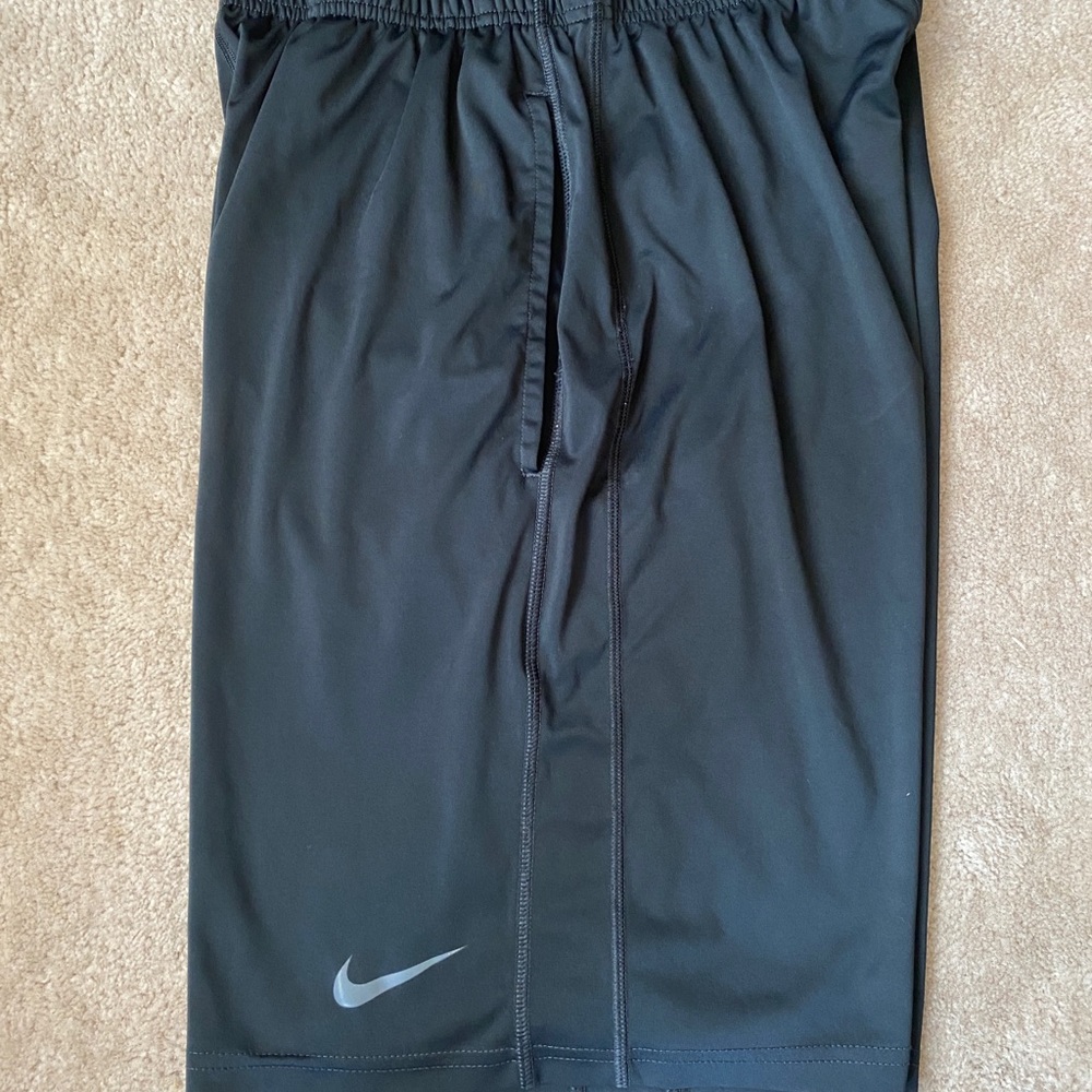 Nike Dri Fit Shorts (M)